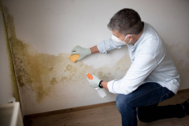 Mold Remediation for Rental Properties in Clarksburg, WV