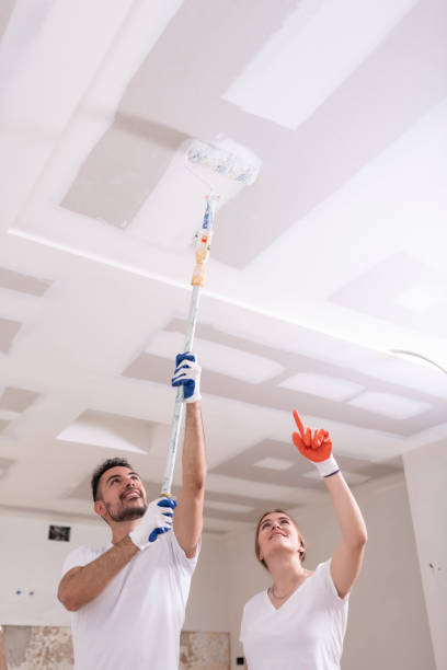 Best Mold Remediation for Healthcare Facilities  in Clarksburg, WV
