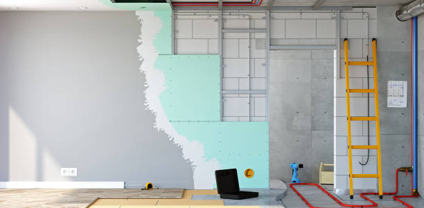 Best Post-Construction Mold Inspection  in Clarksburg, WV