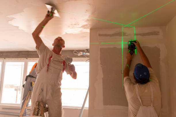 Best Forensic Mold Investigation  in Clarksburg, WV