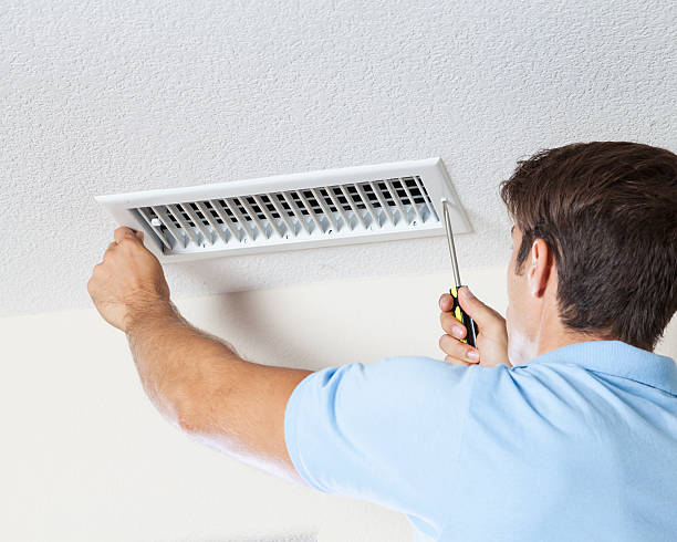 Best Emergency Mold Remediation  in Clarksburg, WV
