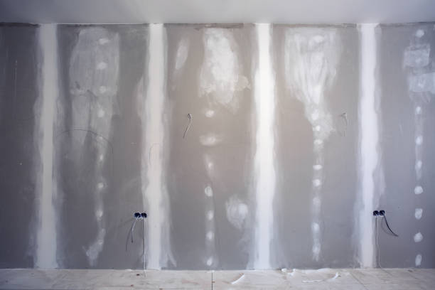 Trusted Clarksburg, WV Mold Removal Experts